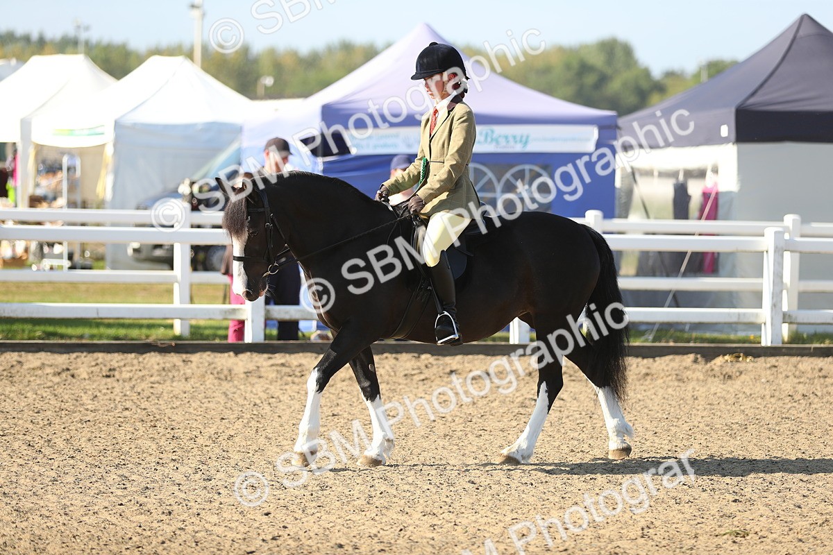 SBM_00503 - Class 41 Best Turned Out Ridden