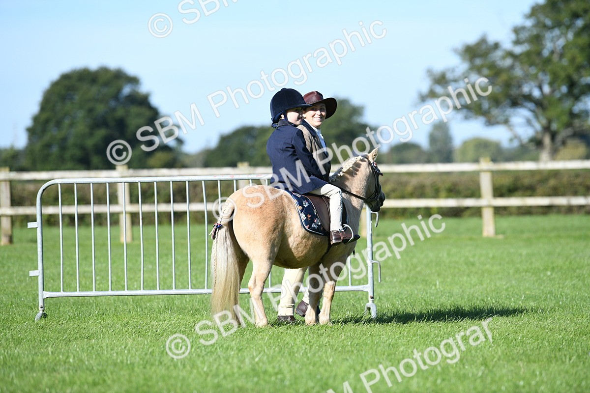 SBM_36735 - S18 - Novice & Newcomers Lead Rein Pony
