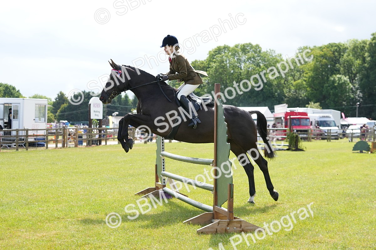 SBM_12885 - Class 99 - RIHS SEIB Working Show Horse