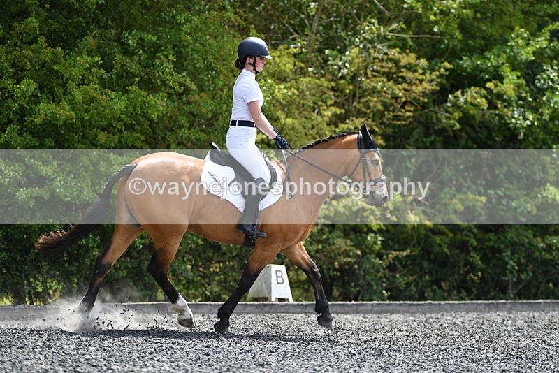 WJ5_0994 - Time 13:45 to 14:20