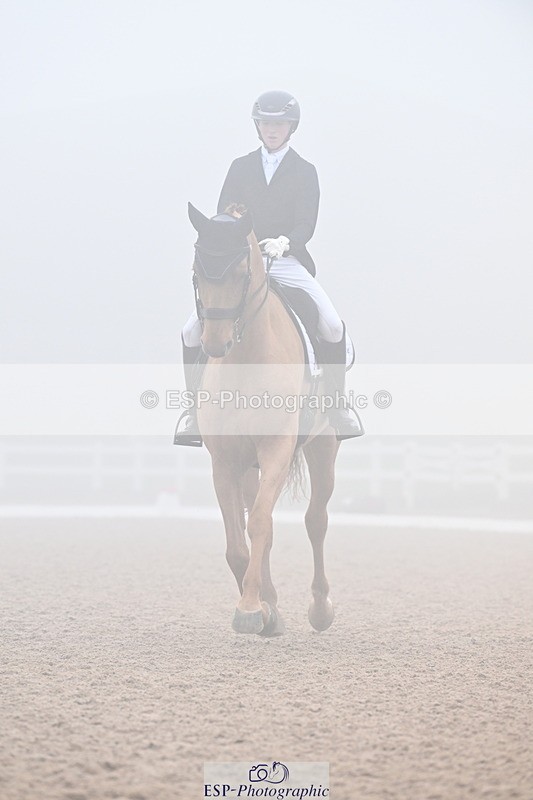 240217A-131239-02771 - 271-Tom.Carter-Rubin.Regal