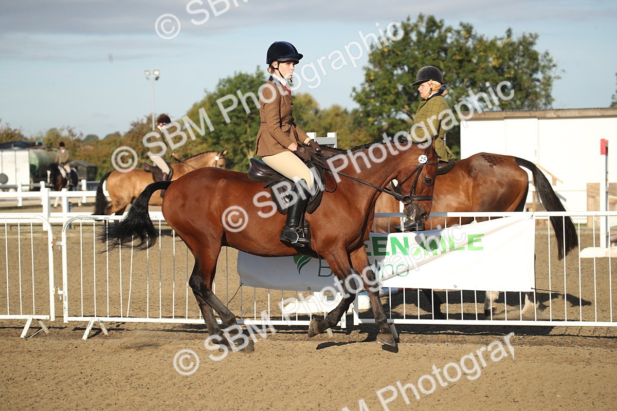 SBM_11511 - Class 502 - Riding Club Horse