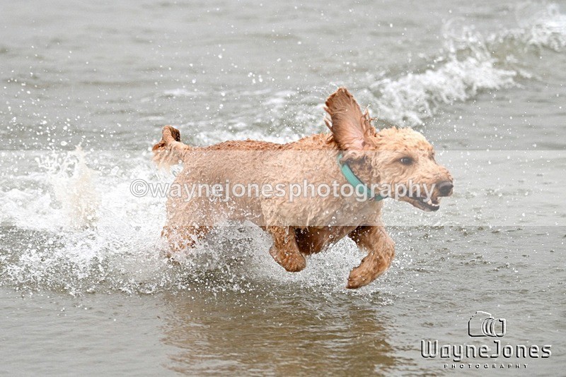 WJ7_9975 - Hayling Island Beach Shoot 22-09-24