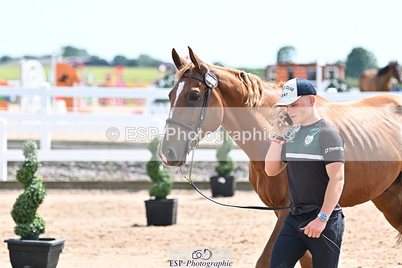 240717A-145916-02405 - Trot Up 2pm to 3pm - This folder is not in time order