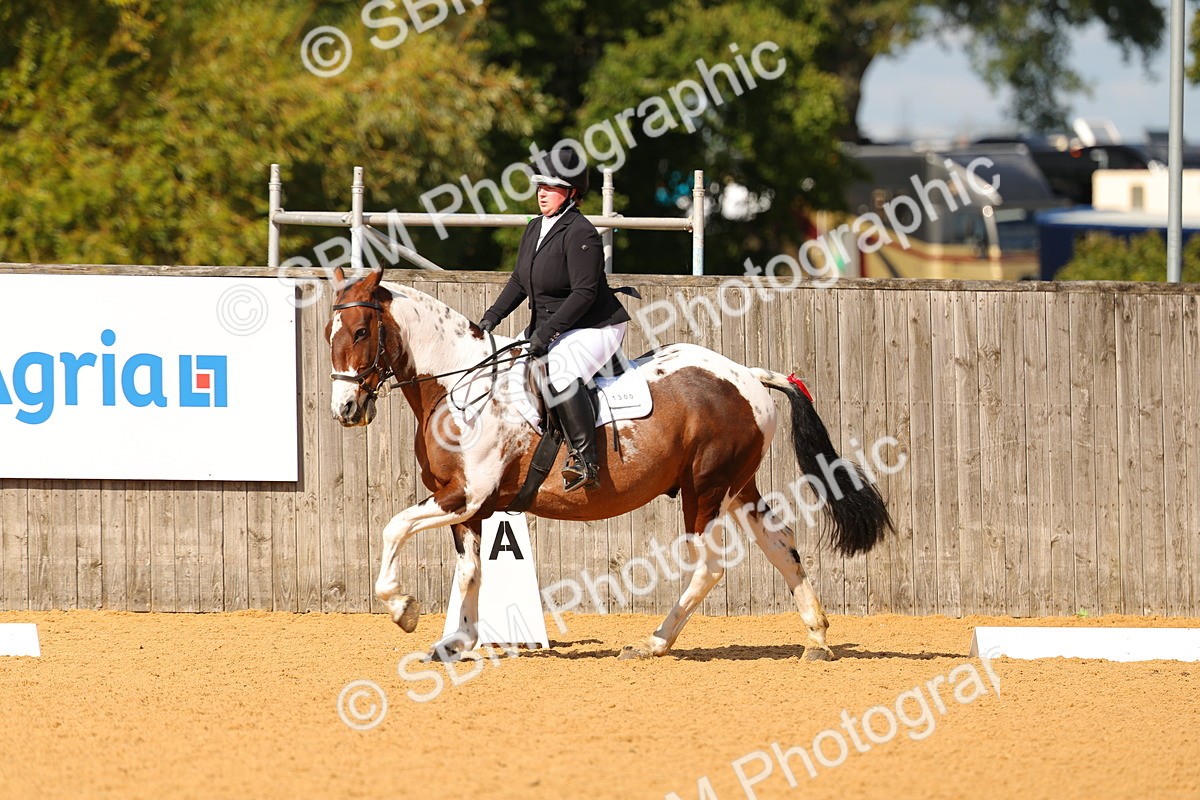 SBM_40250 - D14 - Grand Tour Championship - Prelim 14