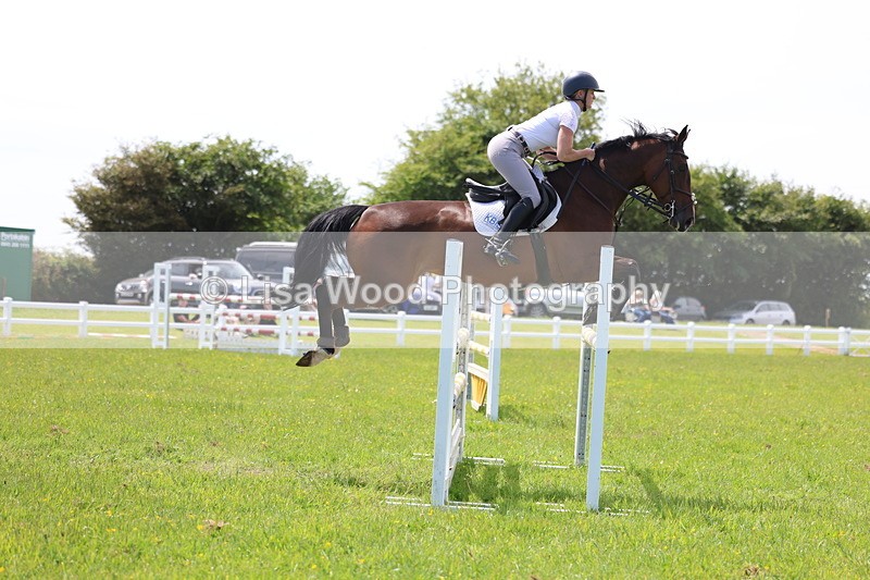 3E7A1358 - Class 12: Senior Foxhunter/1.20 open