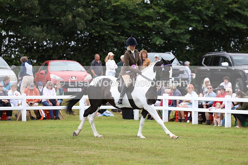 3E7A1314 - Class 8: Open Riding Horse/Hack