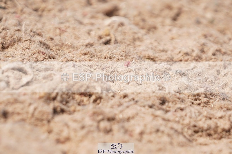 250621-155344-09618 - RoR Cls 4b-4c, Prelim