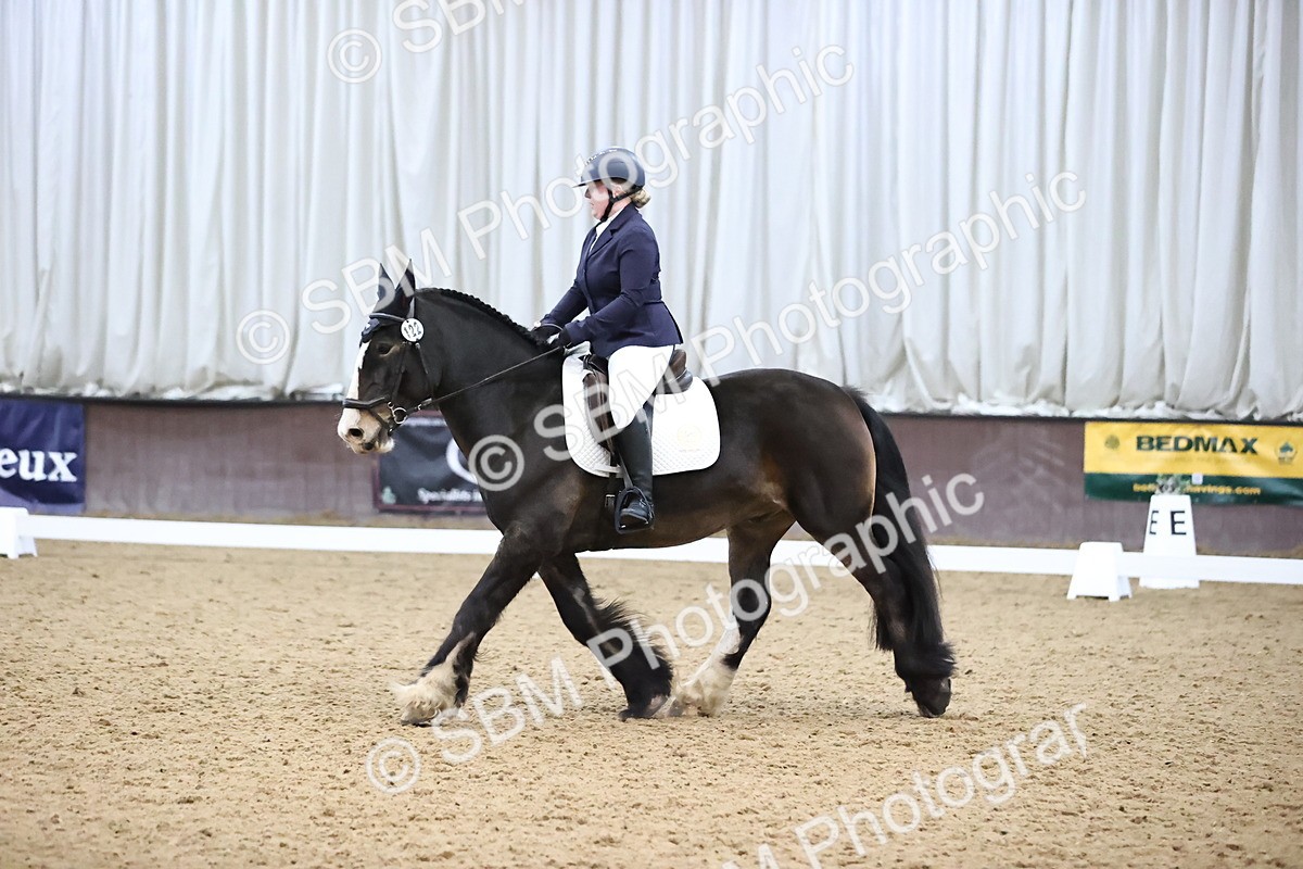 SBM_004303 - Intermediate