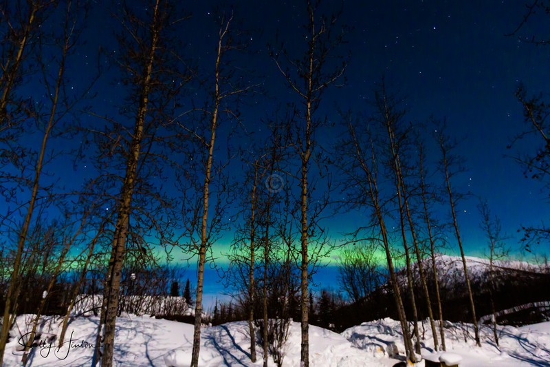 Alaskan Aurora 2