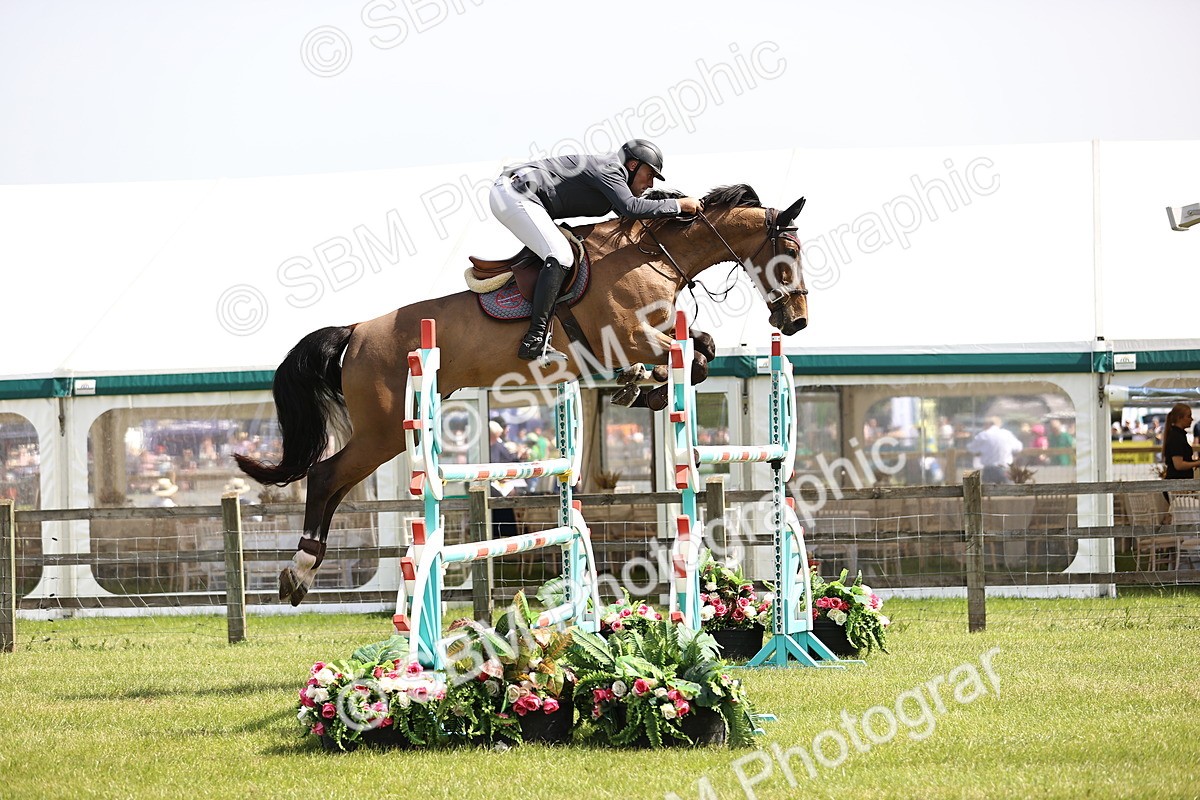 SBM_03254 - Class 201 - British Horse Feedds Speedi Beet HOYS Grade C