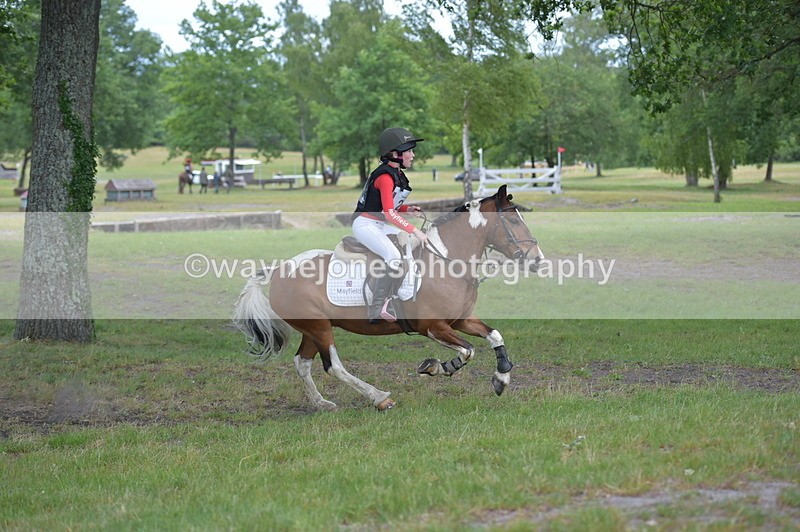 NGP_6641 - Time 10:50 to 11:00