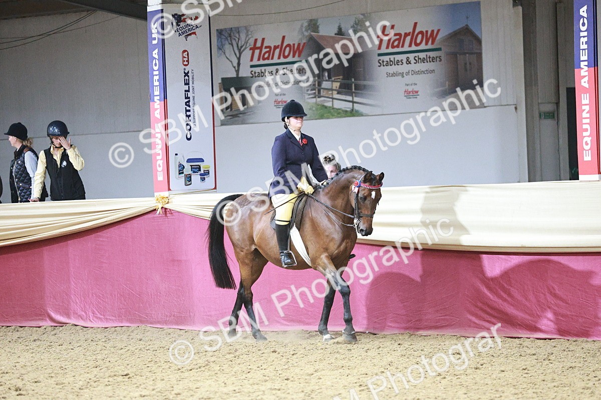 SBM_08005 - Class 11R - Regional Ridden Veteran