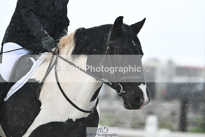 231105-085643-00053 - Cls 1 Intro C