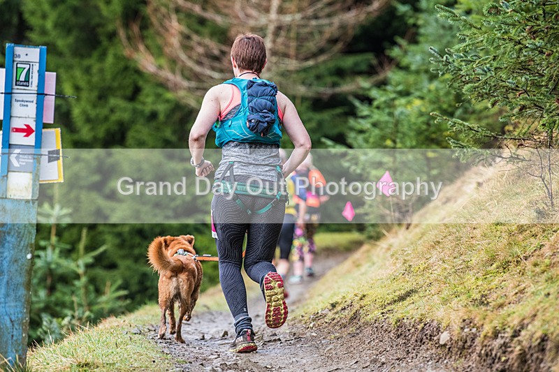 Glentress-329 - High Terrain Events Glentress Marathon 21 & 10K Trail Races Sunday 18th February 2024