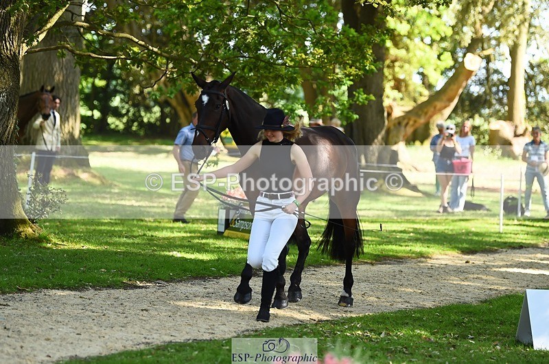 230524-161124-00741 - 254-PURE_TRENDSETTER-Ellie_Fredericks-WEDTrotUp+DR