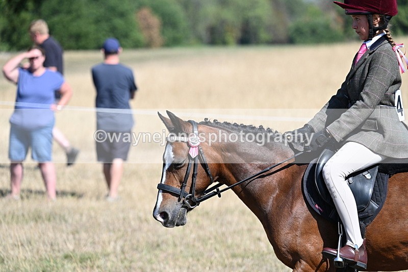 WJ7_4086 - Class 9 Mountain & Moorland Ridden