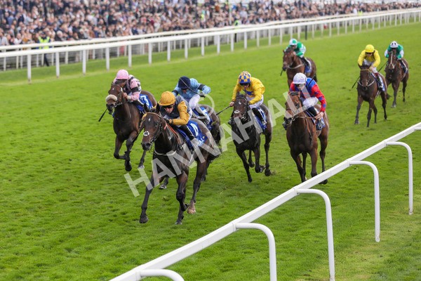 121024-Race 1-Jungle Drums-7216 - Race 1 1.30pm Coral Rockingham Stakes