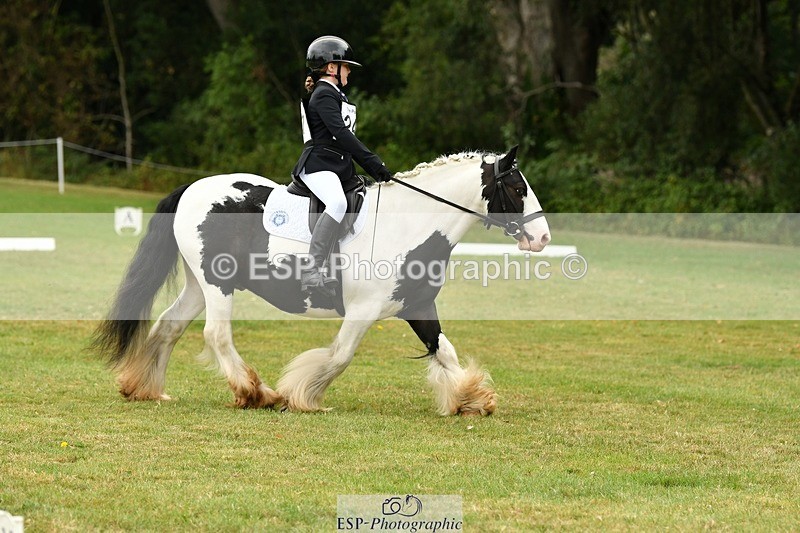 250820A-122720-05605 - 12 to 13.00