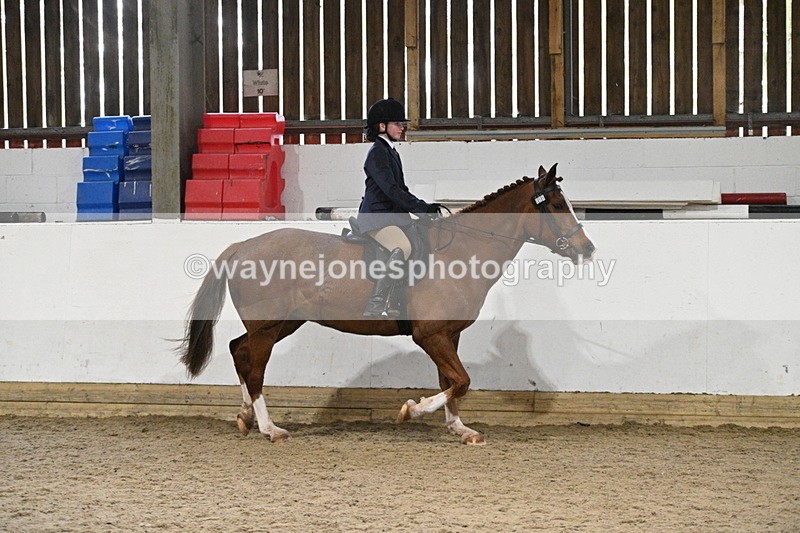 WJ7_4108 - Class 17 Ridden Cob