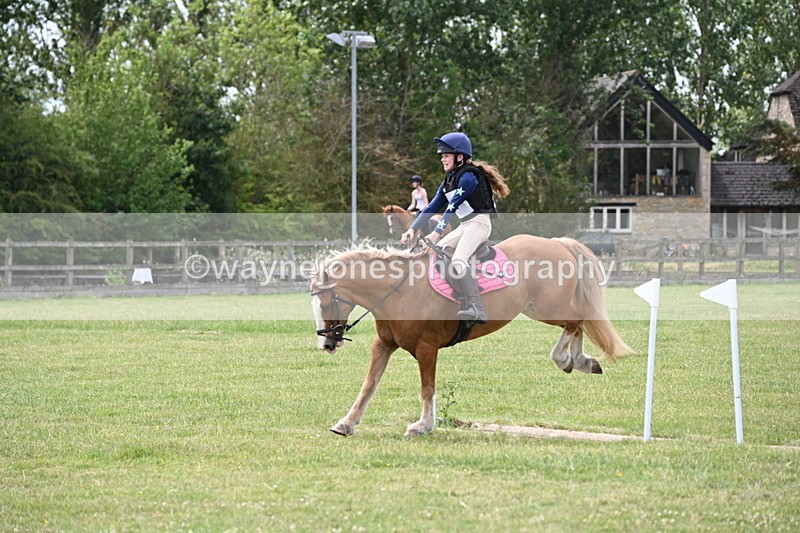 WJ6_6944 - 80cm XC Pairs