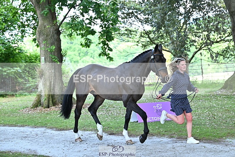 250521A-155304-00819 - B-376-Lucy.Robinson-BELLINE.SECOND.CHANCE