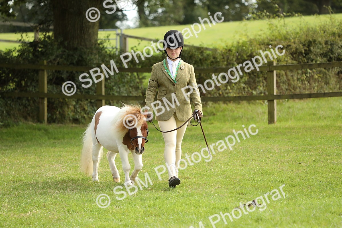 SBM_68527 - S40 - Junior Handler 9-12 Years