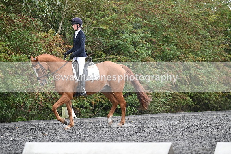 WJ7_6729 - Time 14:49 to 15:14