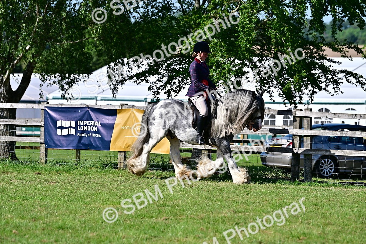 SBM_19563 - Class 101-102 - BSPS LIHS Performance Coloured Horse/Pony