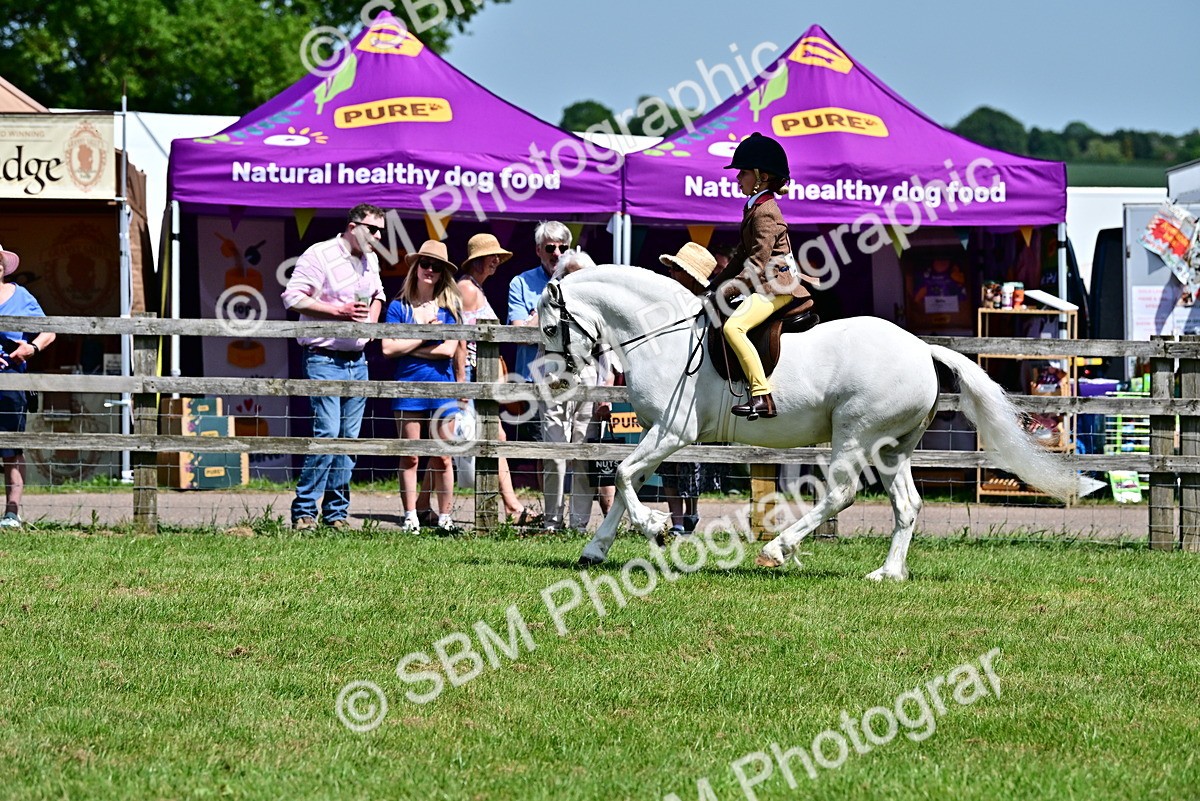 SBM_06067 - Class 59-60 - TSR M&M  Lear Rein and First Ridden Amateur of the year