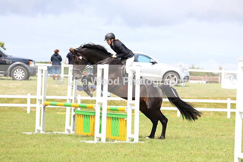 3E7A7471 - Class 13: Senior British Novice/90cm open