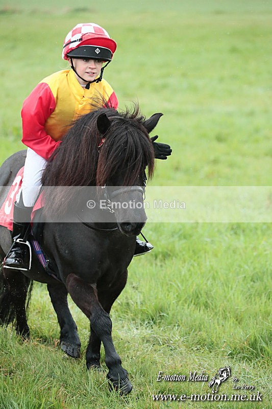SHETPR 210425 147 - Shetland Ponies Paxford Races 21/04/25