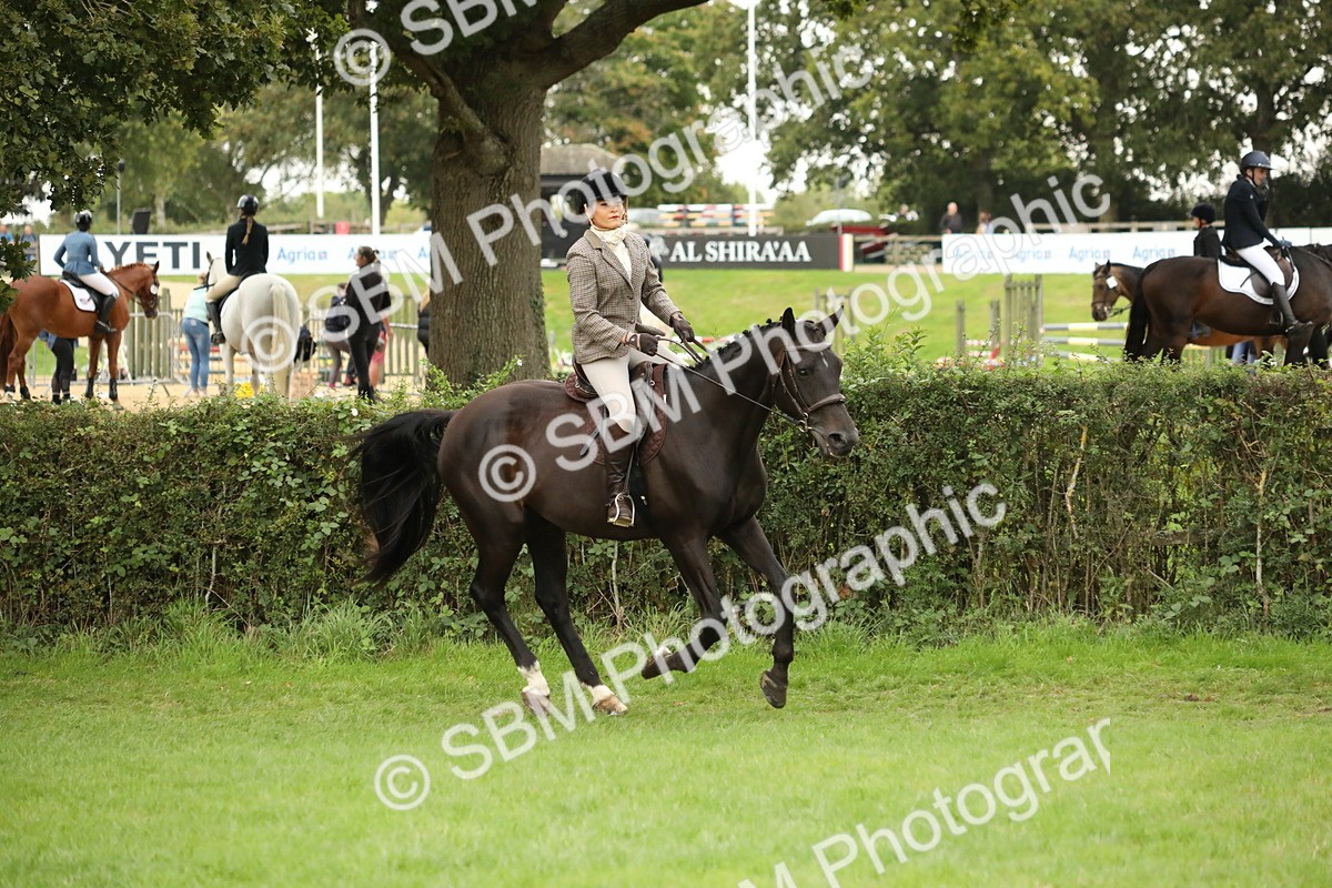 SBM_73802 - S41 - Ridden Equitation (Best Rider)