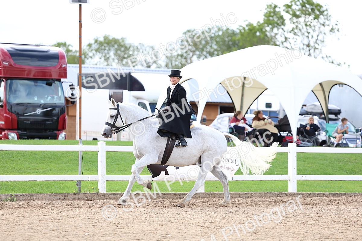 SBM_03218 - Class 22 - SSA Equitation (any age)