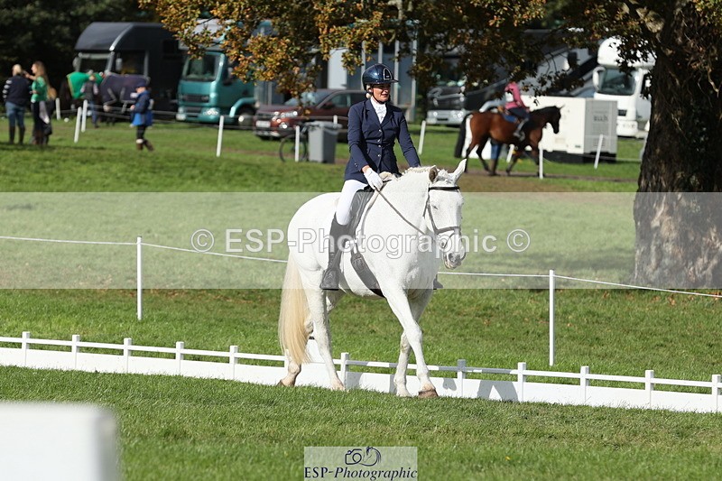 251024A-133351-12603 - H-651-Victoria.Tar