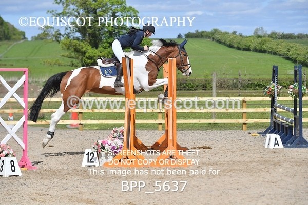 BPP_5637 - CLASS 24 SUN Senior BritiNovice/ 90cm Open