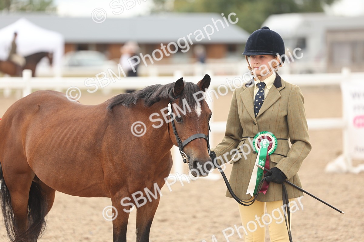 SBM_17029 - Class 312 - IH Competition Horse-Pony