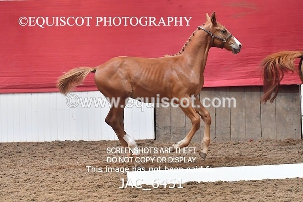 JAC_6451 - 19 Luca