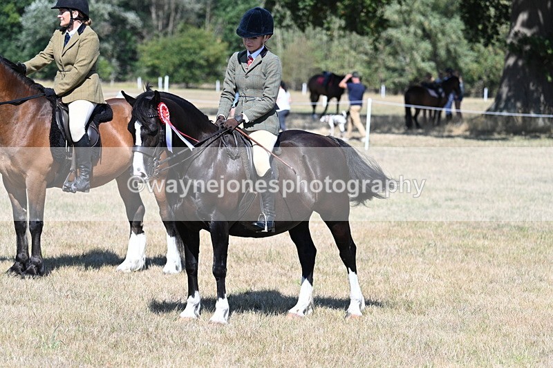 WJ7_4127 - Class 9 Mountain & Moorland Ridden