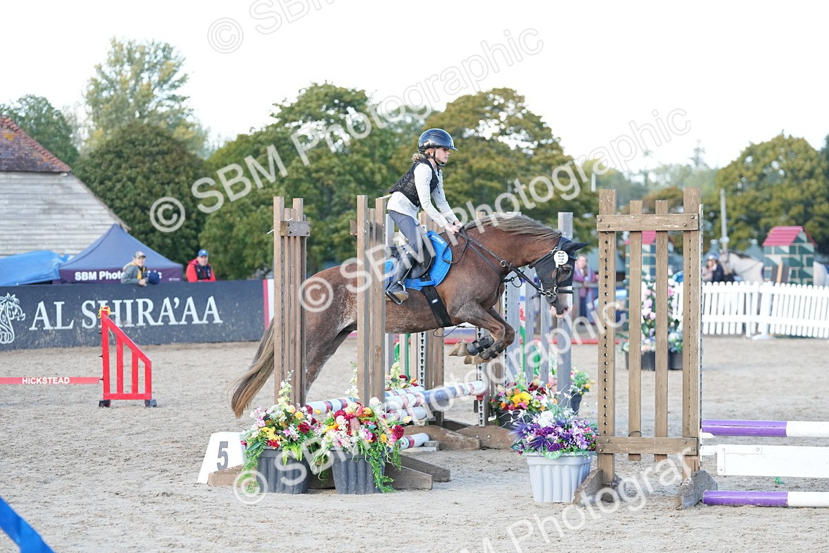SBM_29058 - J43 - Horse & Hound Open 50cm