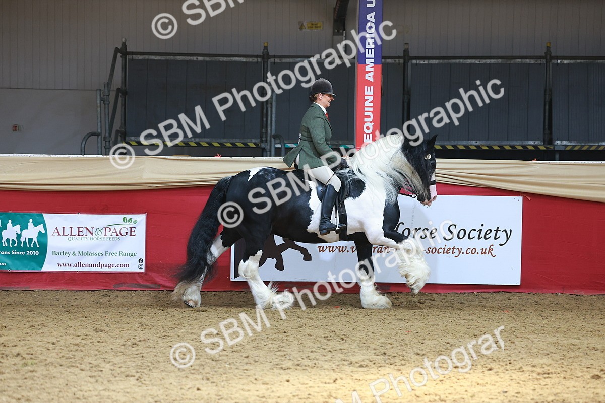 SBM_12742 - HOYS Veteran Qualifier - Ridden Champ
