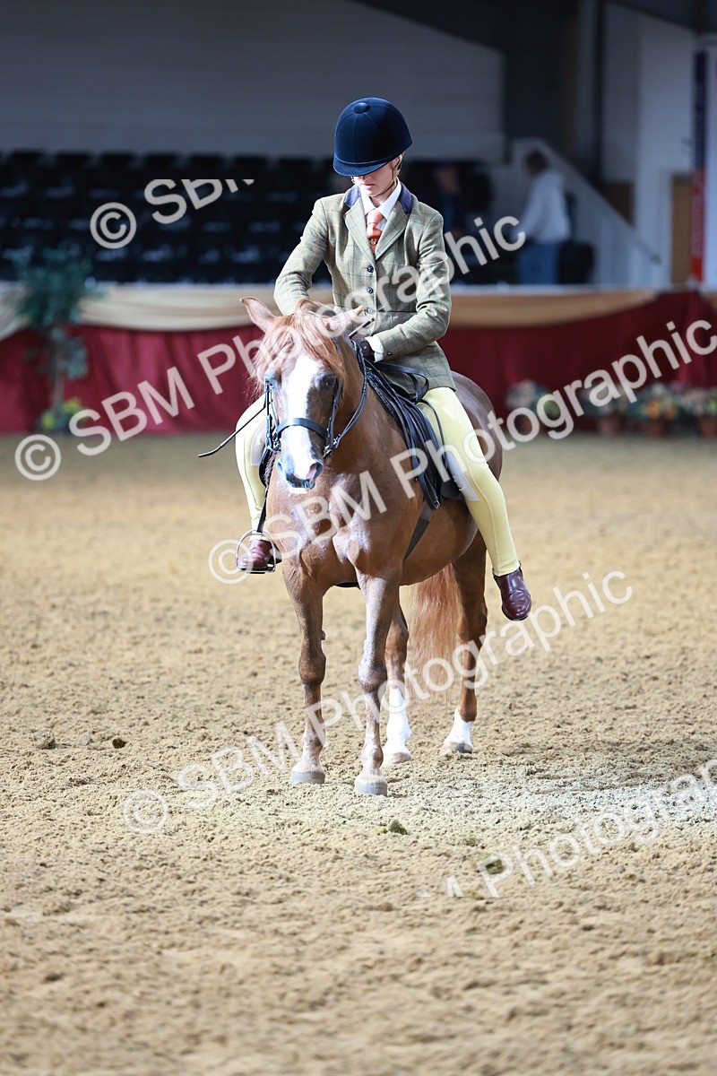 SBM_11906 - Class 102 - Equitation (Best Rider) Adult