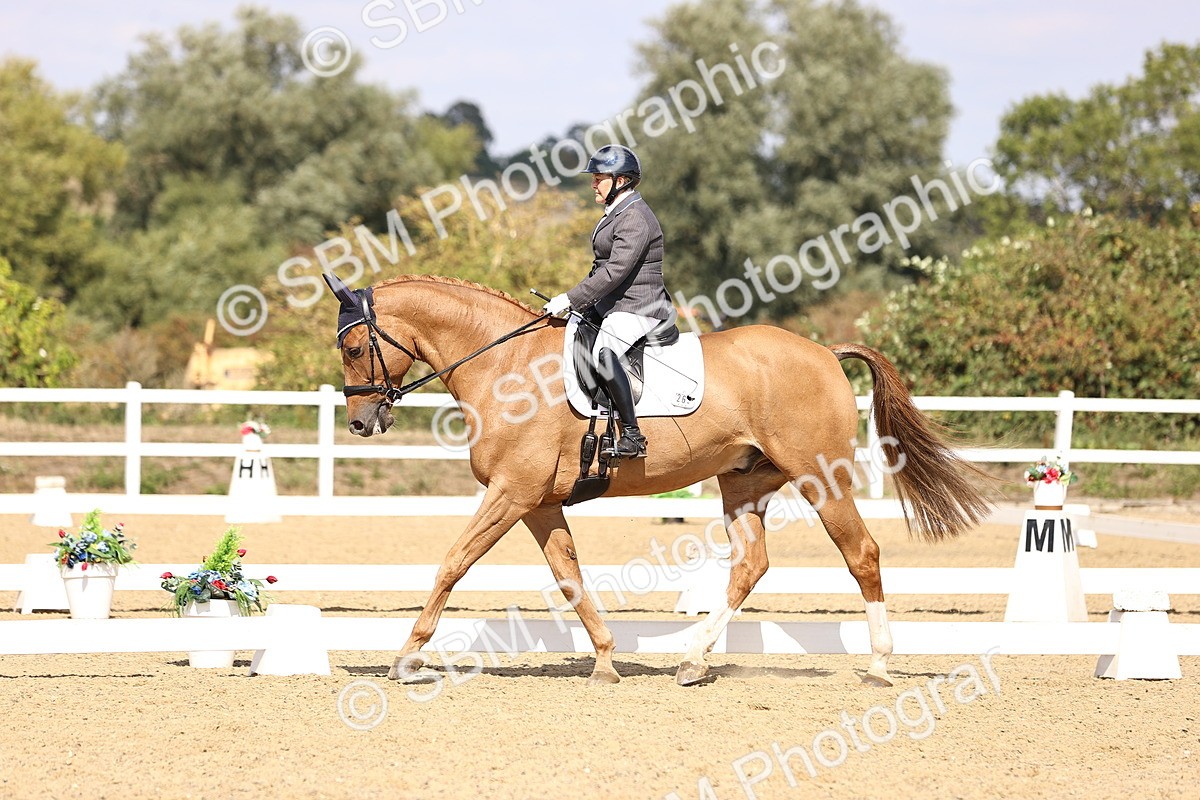 SBM_015081 - Class 6 - Elementary 5