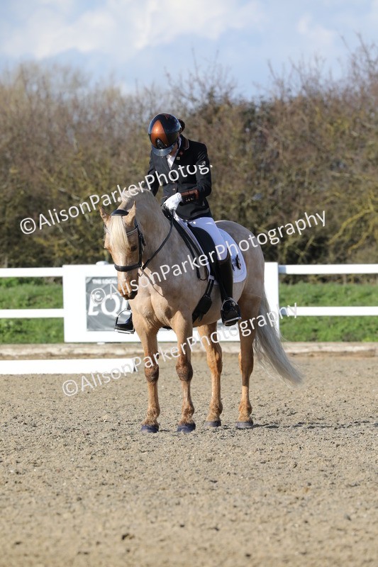 20260314-5819 - DR 7 - Elementary 1