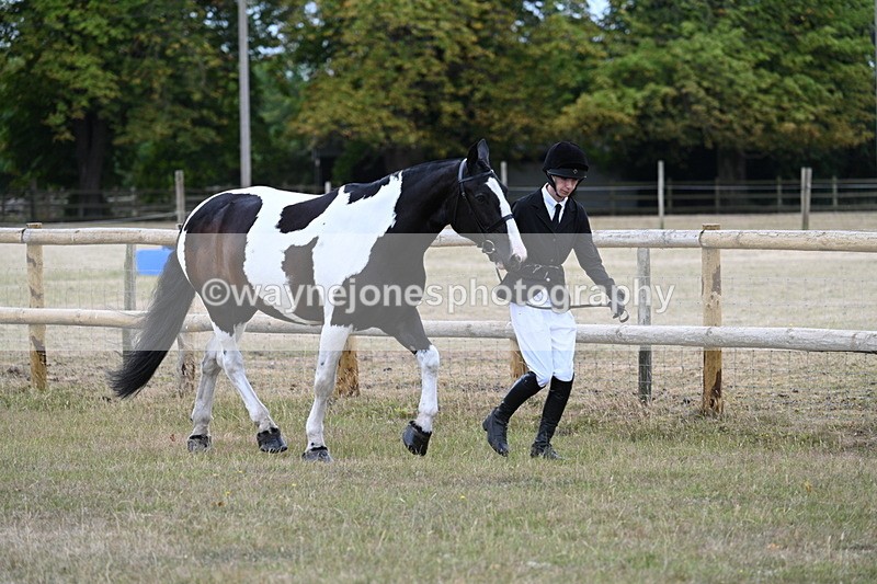 WJ7_8829 - Class 4a Prettiest Mare 14.2hh and over