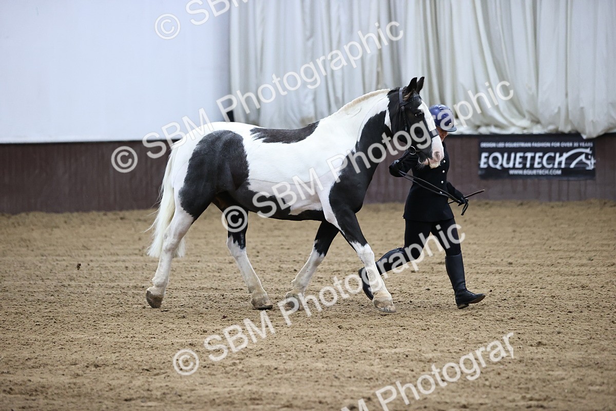 SBM_5284 - Class 32 - In Hand Cob Type