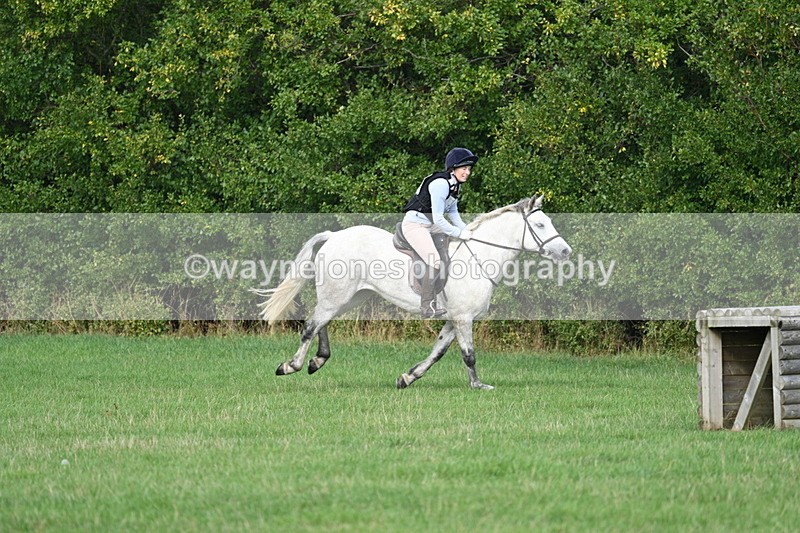 WJ7_8422 - 60cm Pairs