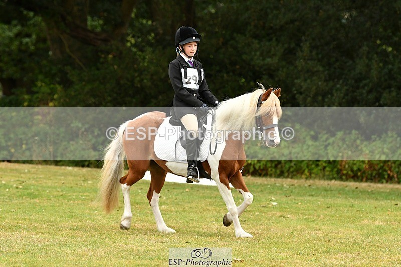 250820A-114707-05280 - 11am to 12