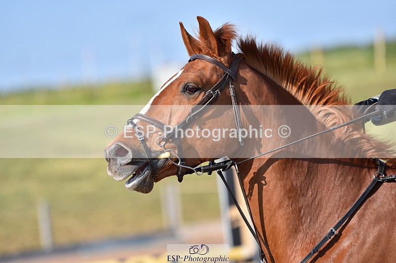 230606A-181316-00320 - 90cm