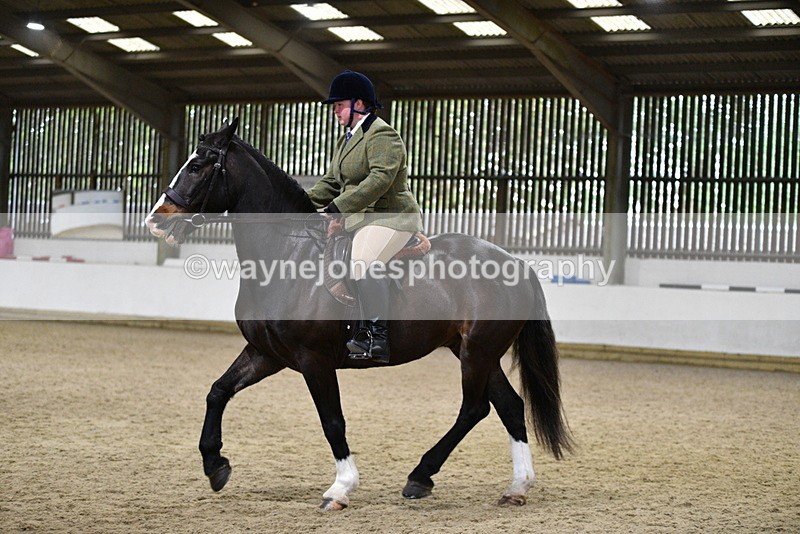 WJ5_8154 - Class 14 Novice Ridden/Rider